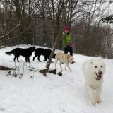 Sally Shigo Opus Jimmy und Boomer